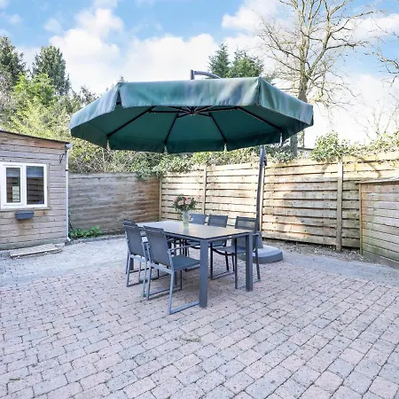 Charming In In A Recreation Park