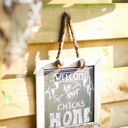 Charming Holiday In In A Recreation Park *