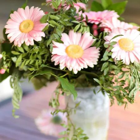 Tatil Evi Charming In In A Recreation Park