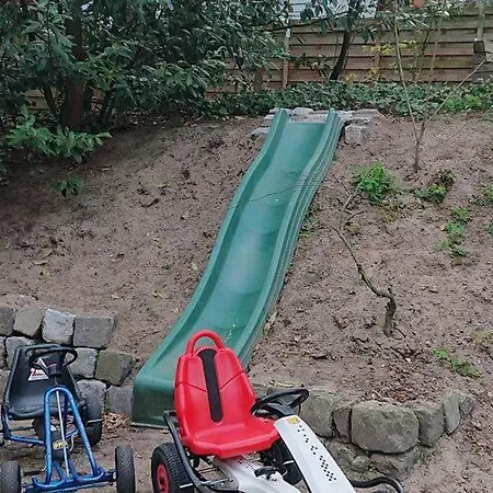 Charming In In A Recreation Park *